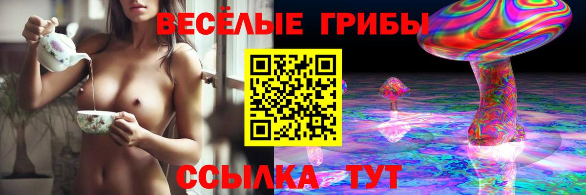 Галлюциногенные грибы Psilocybine cubensis Кстово