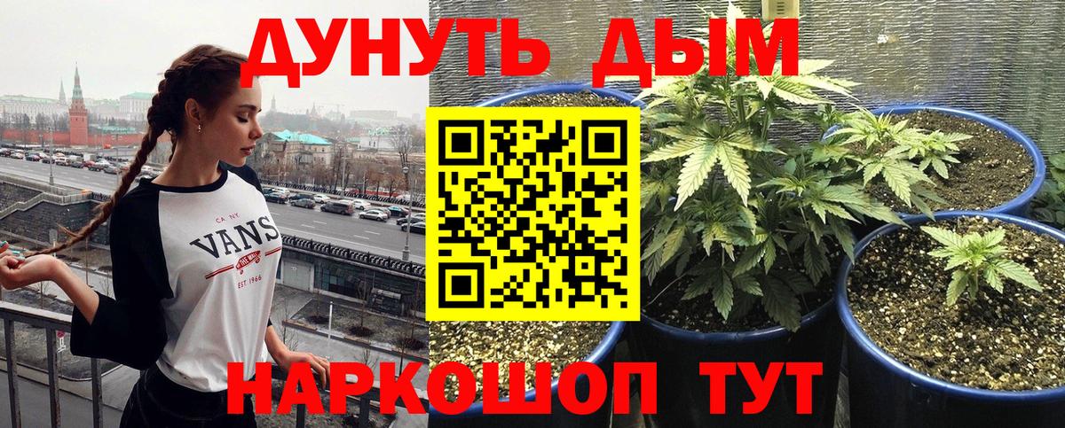 Конопля гибрид  Вход с VPN  Канабис ГИДРОПОН  Канабис марихуана  Бошки Шишки Ganja  Кстово 